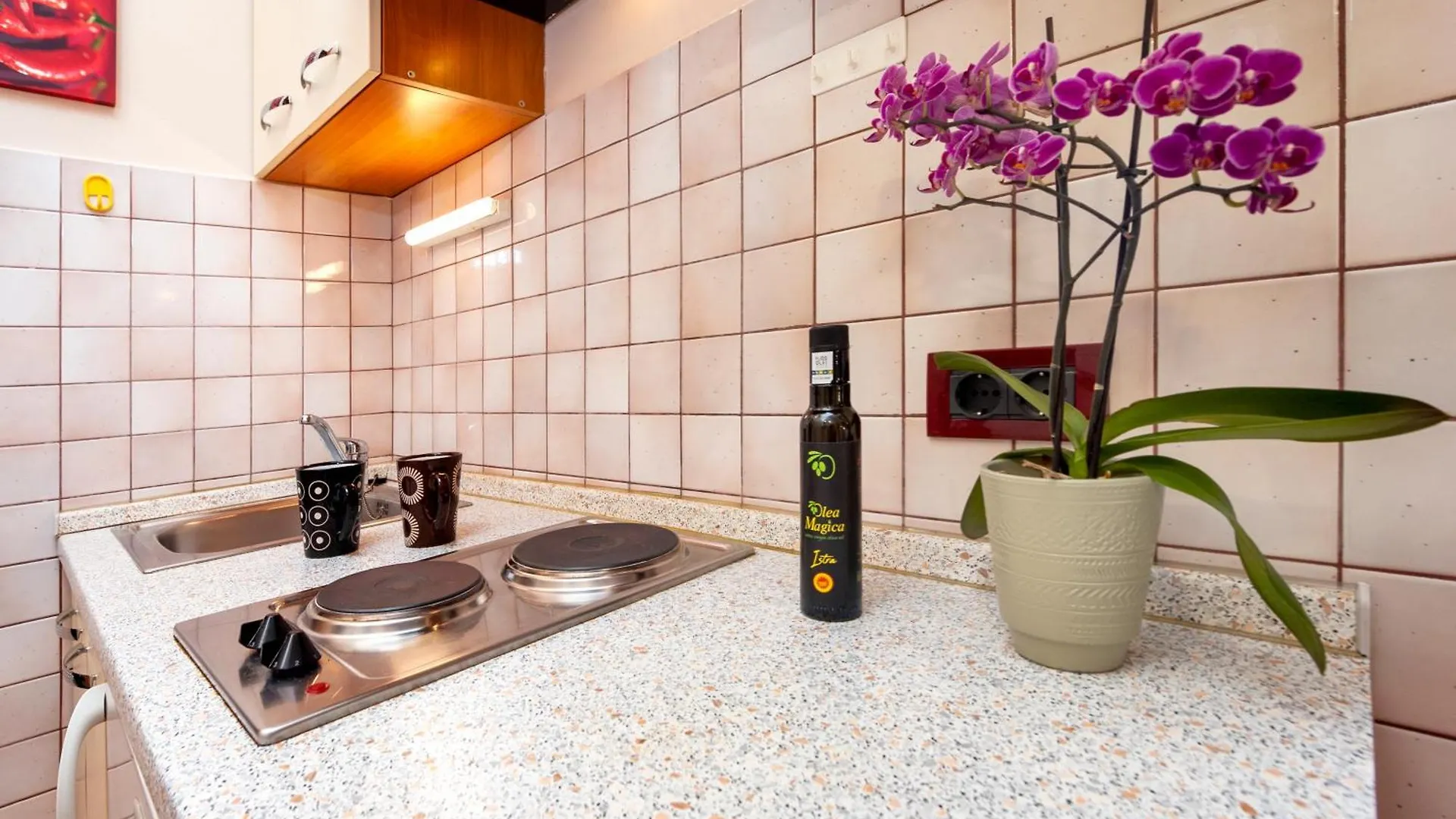 Apartments Villa Brigita 1 Rovinj